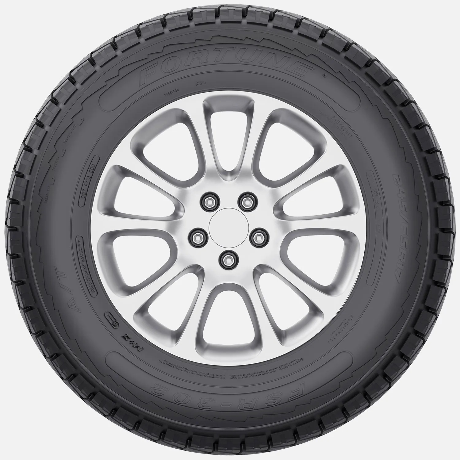 Fortune-FSR-302-3