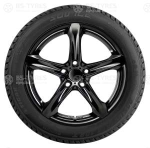 Tigar Ice 225/50 R17 98T