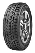Delinte Winter WD1 255/45 R18 103H